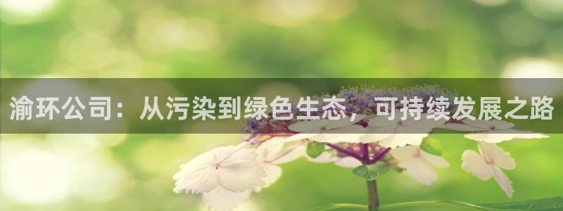 彩名堂app官方下载