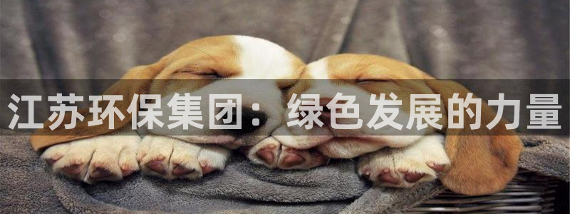 谁知道彩名堂网站是多少：江苏环保集团：绿色发展的力量