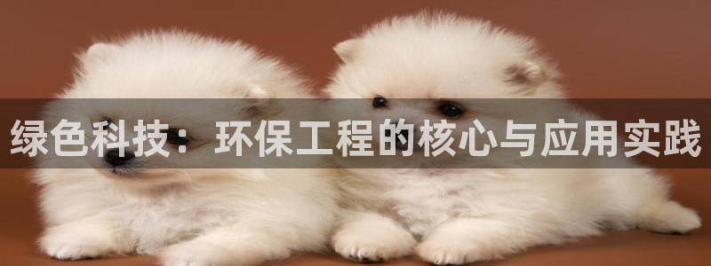 彩名堂怎么买准确率高：绿色科技：环保