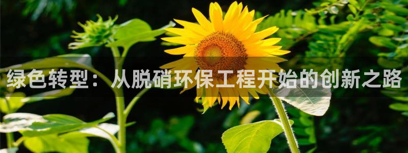 彩名堂怎么跟计划才不连挂呢：绿色转型