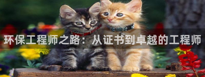 彩名堂预测免费计划怎么看的：环保工程师之路：从证书到卓越的工