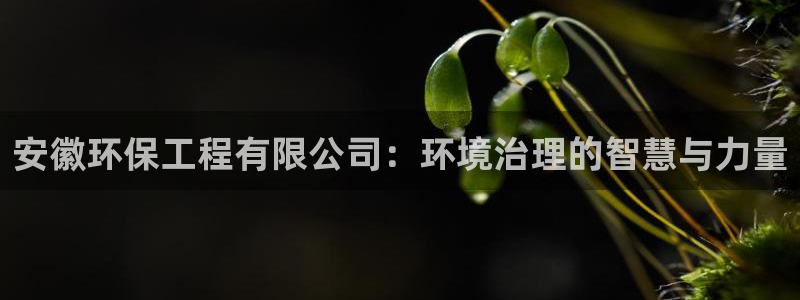 彩名堂官网网页计划：安徽环保工程有限