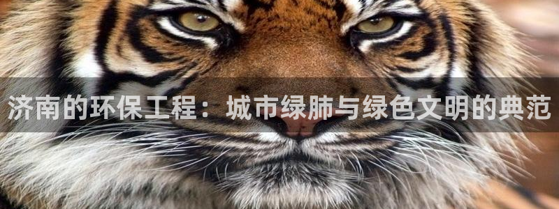 彩名堂预测软件与分析软件区别：济南的环保工程：城市绿肺与绿色