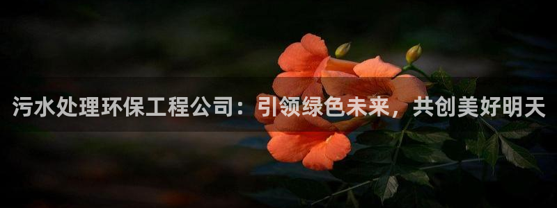 彩名堂上推荐的几个平台怎样：污水处理
