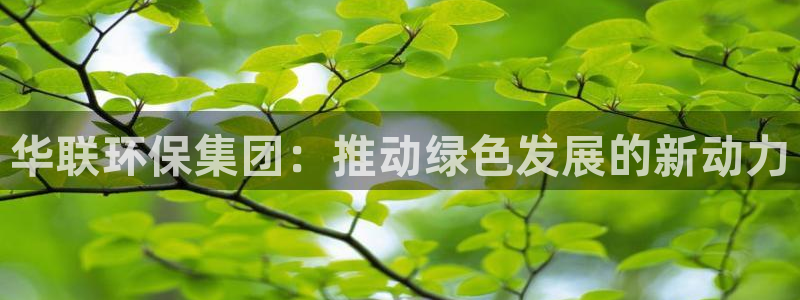 彩名堂计划官方下载网址：华联环保集团：推动绿色发展的新动力