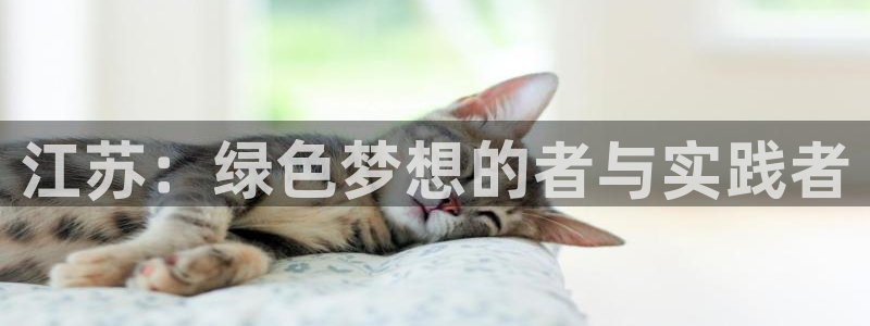 彩名堂怎么跟计划才不连挂呢：江苏：绿色梦想的者与实践者